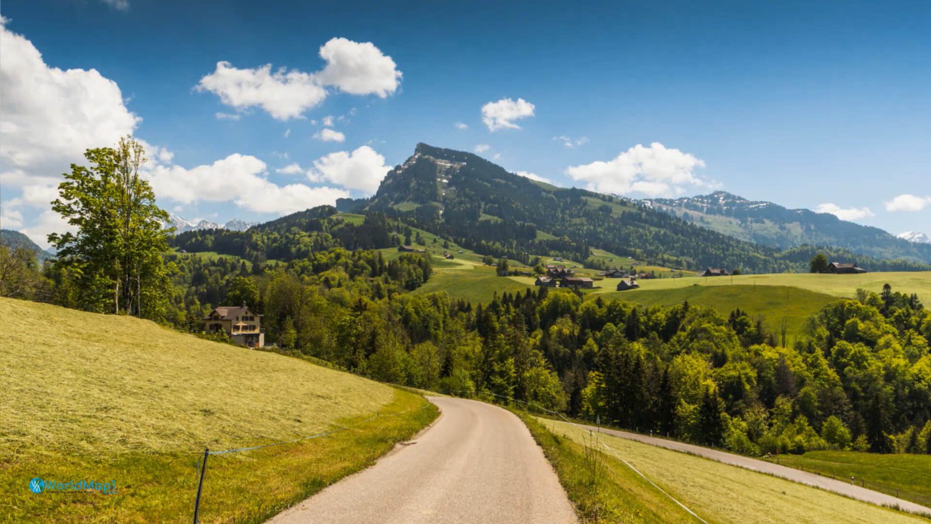 Natural Life in St. Gallen